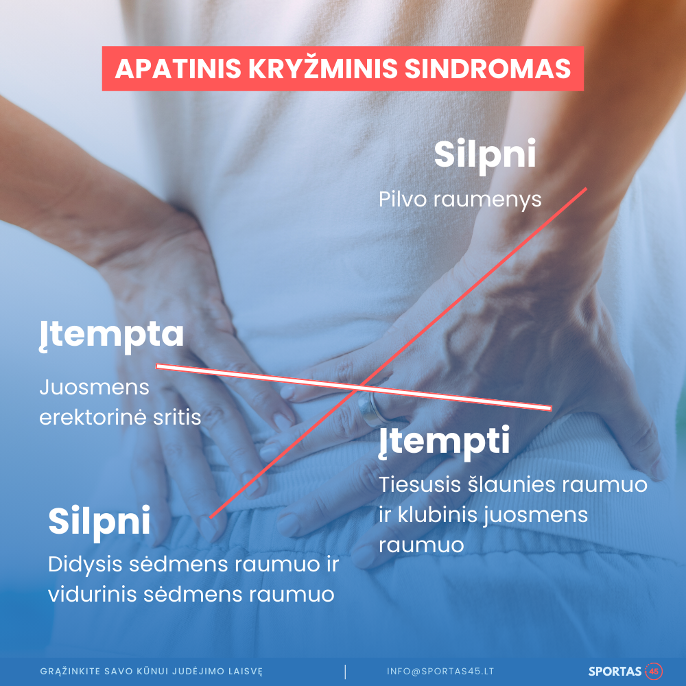 Nugalėkite Nugaros Skausmą – 16 Dienų Kineziterapinė Programa