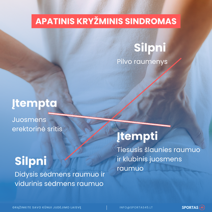 Nugalėkite Nugaros Skausmą – 16 Dienų Kineziterapinė Programa